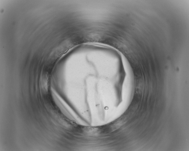 X0000088360334200706121101