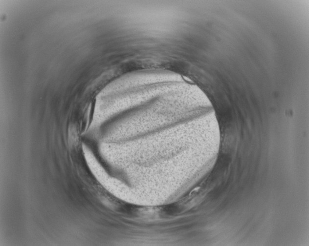 X0000088360335200706121101