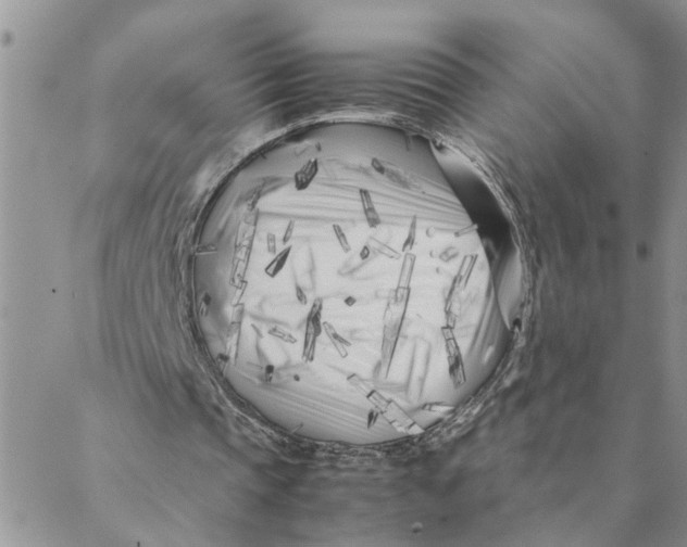 X0000088360337200706121100