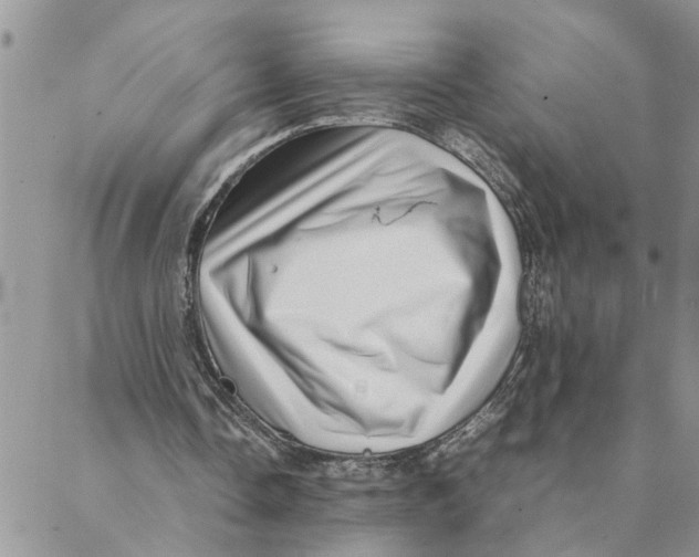 X0000088360338200706121100