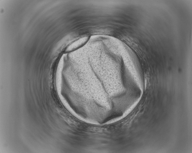 X0000088360339200706121100