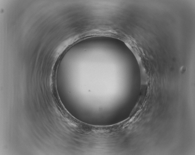 X0000088360340200706121100