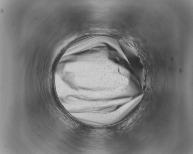 X0000088360342200706121100