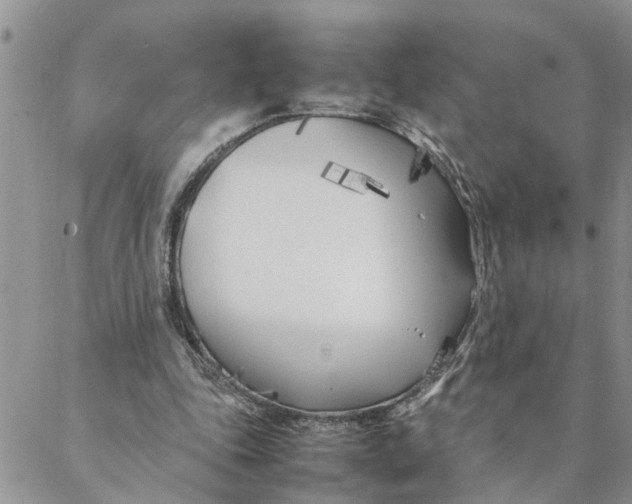 X0000088360343200706121100