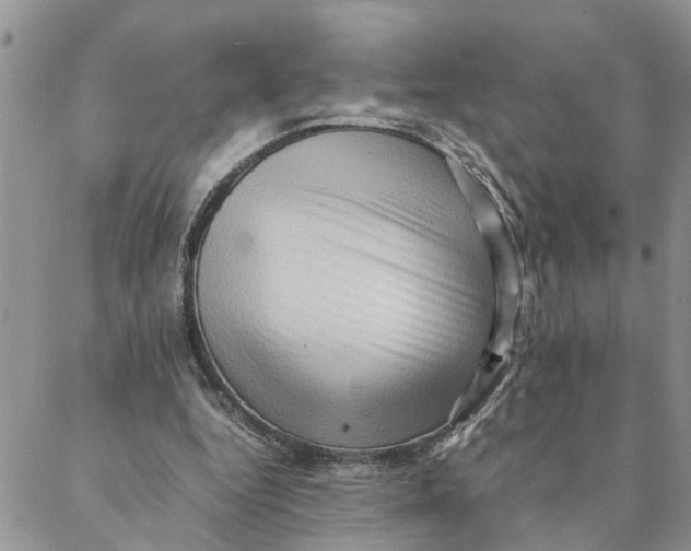 X0000088360344200706121100