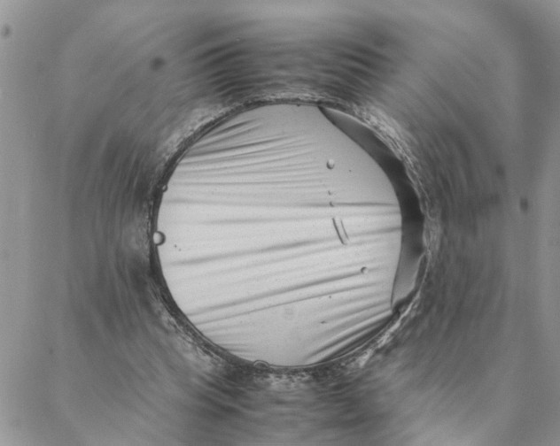 X0000088360345200706121100