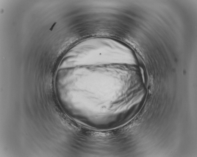 X0000088360347200706121101