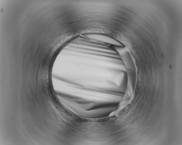 X0000088360348200706121101