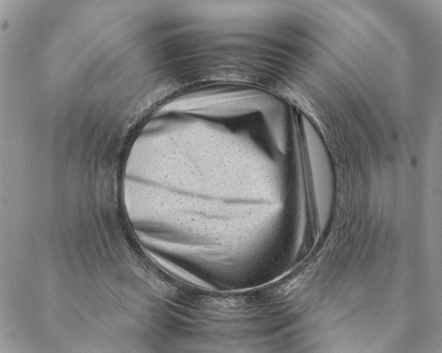 X0000088360349200706121101