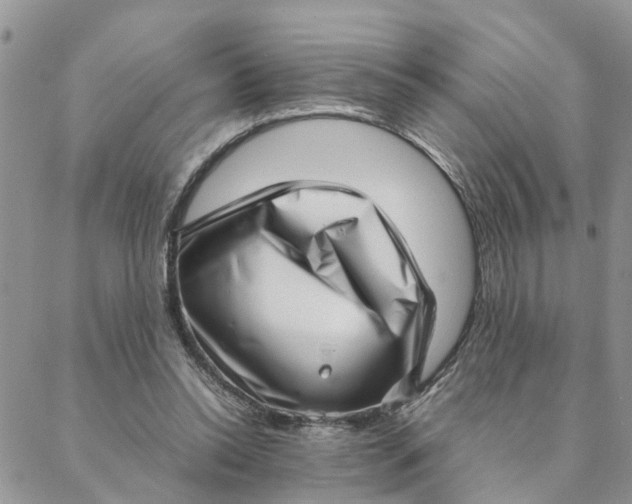 X0000088360350200706121101