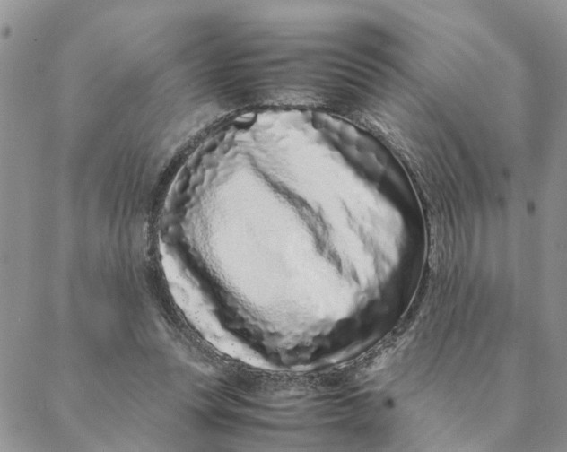 X0000088360351200706121101