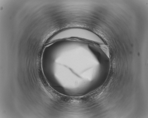 X0000088360352200706121101