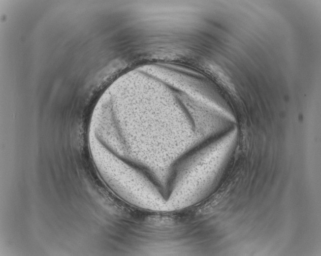 X0000088360354200706121101