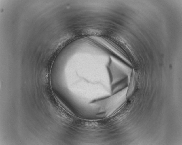 X0000088360355200706121101