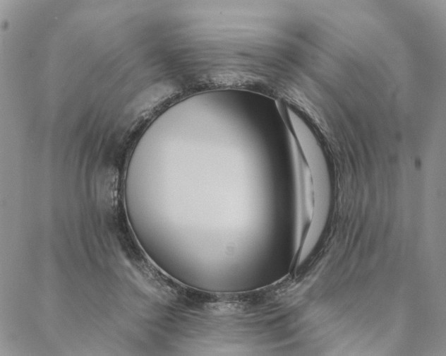 X0000088360356200706121101