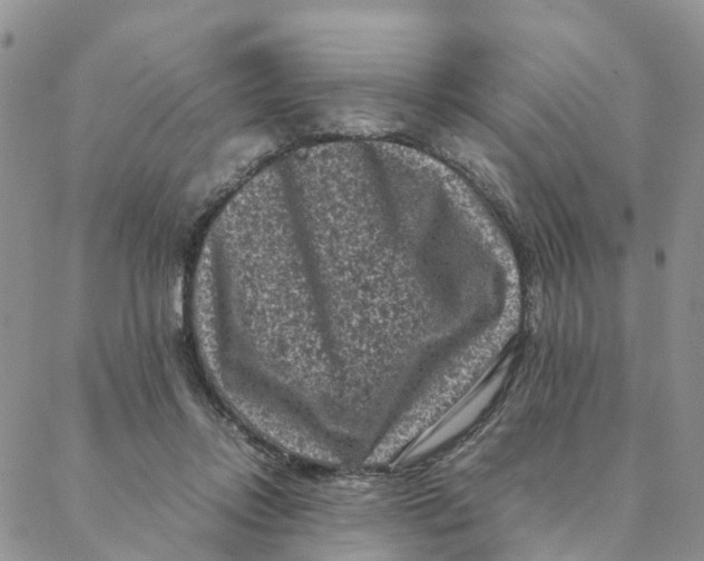 X0000088360358200706121101