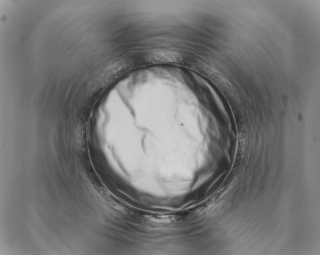 X0000088360359200706121101