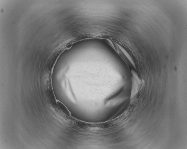 X0000088360360200706121101