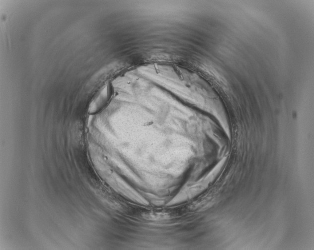 X0000088360361200706121101