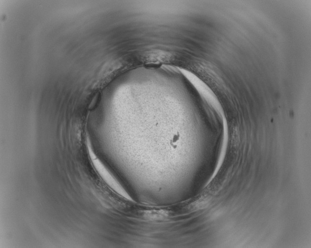 X0000088360363200706121101