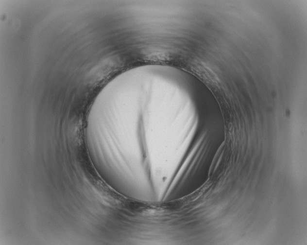 X0000088360364200706121101