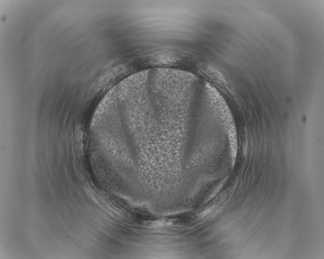 X0000088360366200706121101