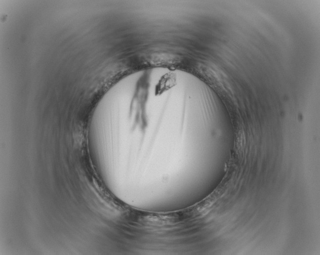 X0000088360367200706121101