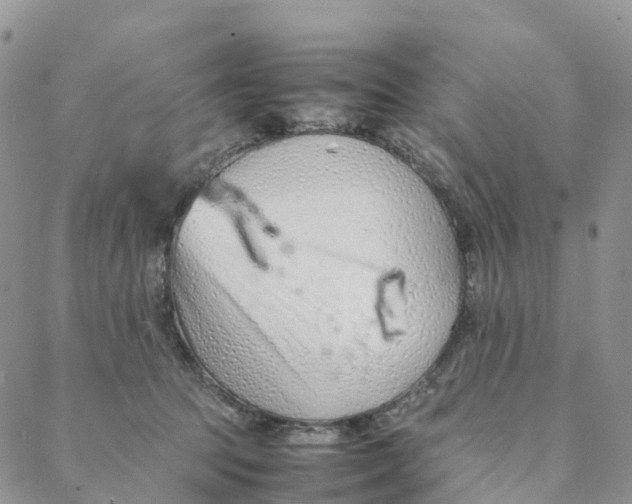 X0000088360369200706121101