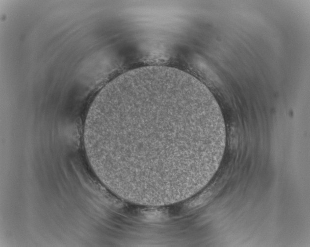 X0000088360370200706121101