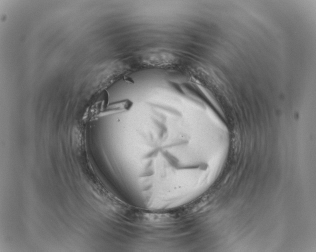 X0000088360371200706121101