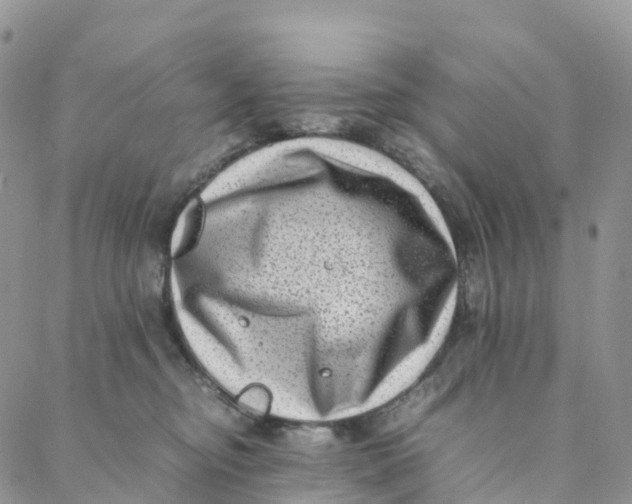 X0000088360374200706121101