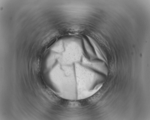 X0000088360376200706121101