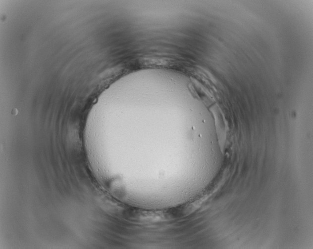 X0000088360377200706121101