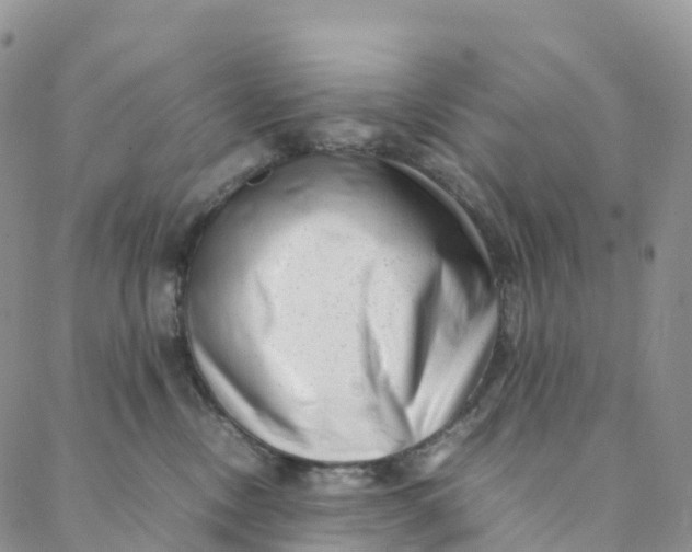 X0000088360378200706121101
