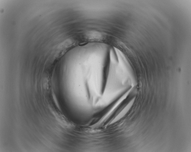 X0000088360379200706121101