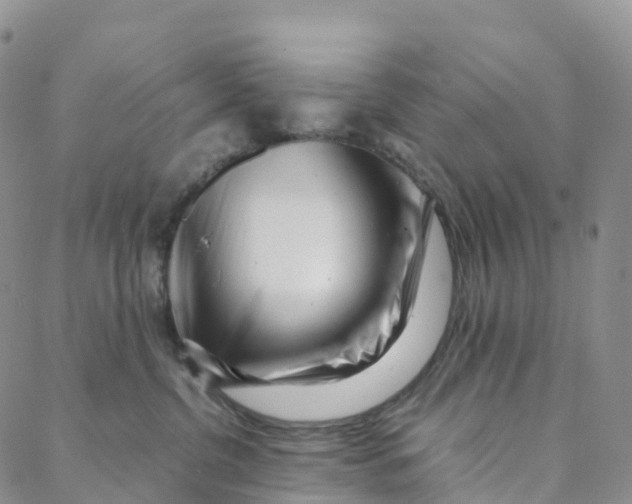 X0000088360380200706121101