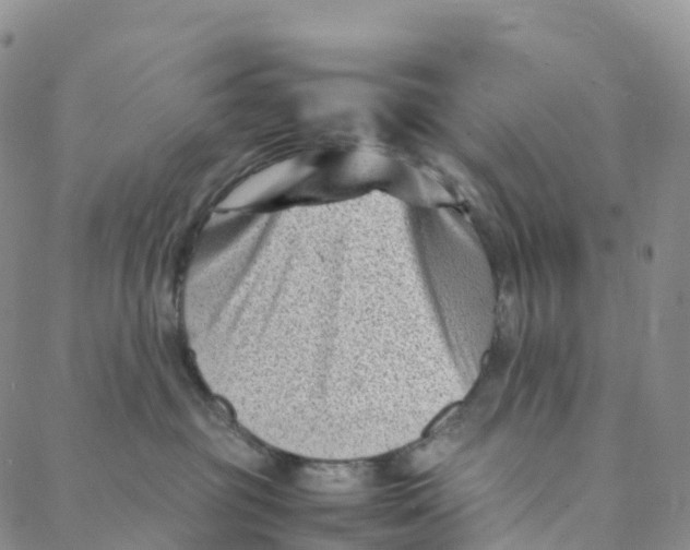 X0000088360381200706121101