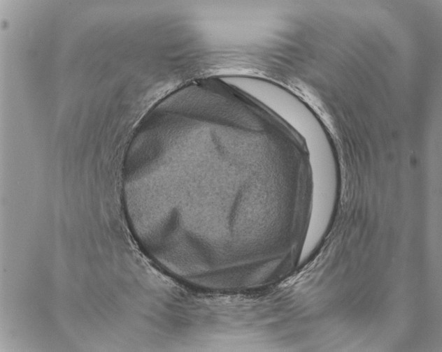 X0000088360385200706121100