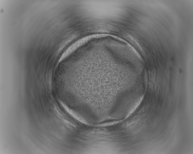 X0000088360386200706121100