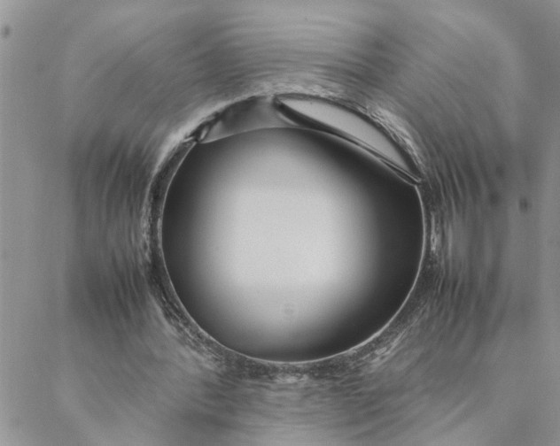 X0000088360388200706121100