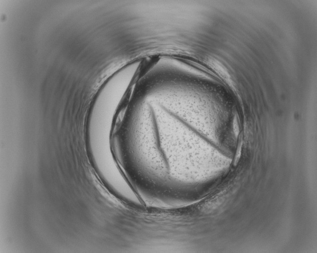 X0000088360389200706121100