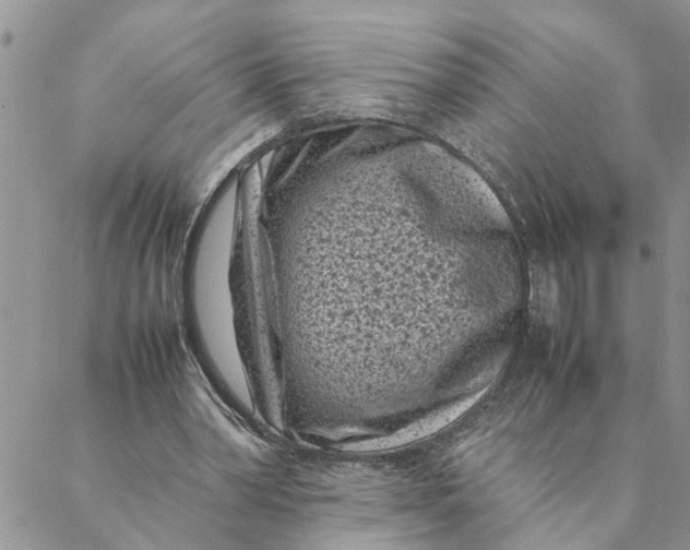 X0000088360390200706121100