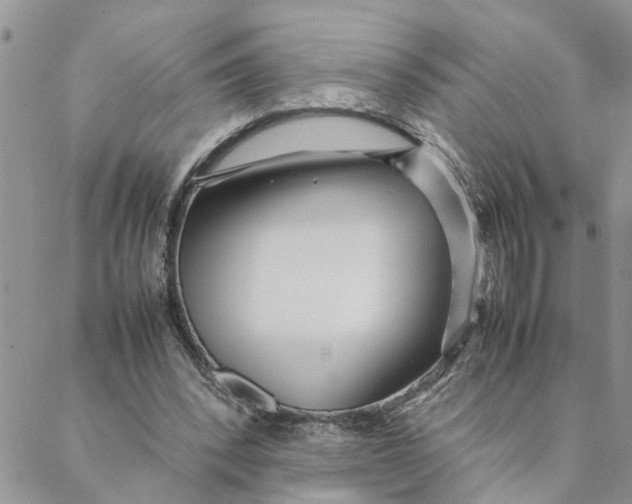 X0000088360392200706121100