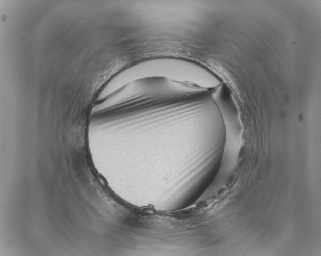 X0000088360393200706121100