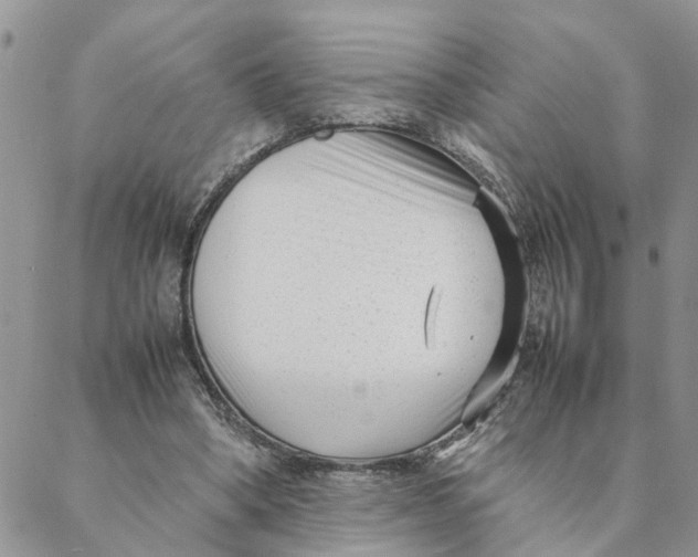 X0000088360394200706121100