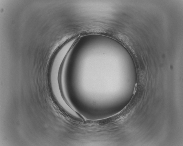 X0000088360395200706121100