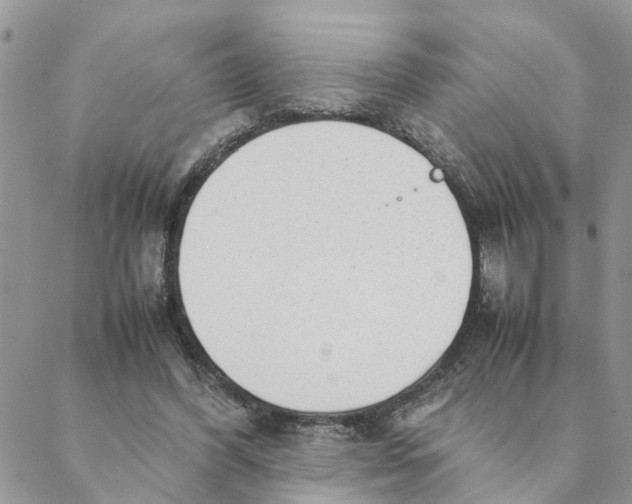 X0000088360396200706121100