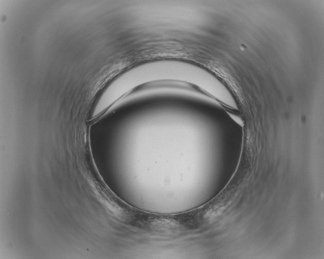 X0000088360397200706121100