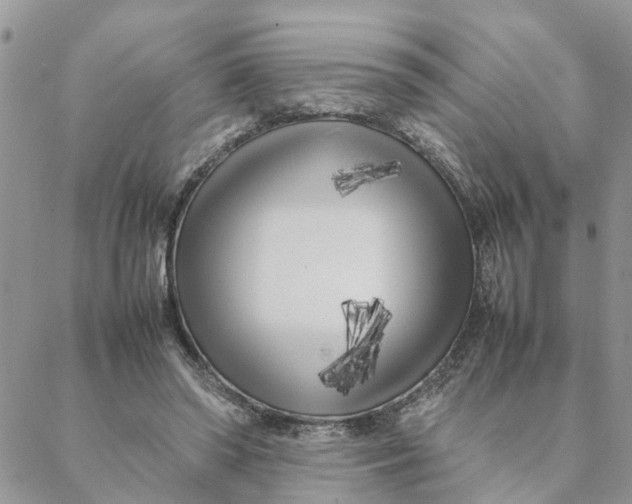 X0000088360398200706121100