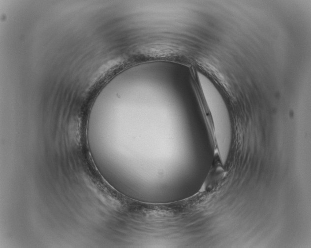 X0000088360400200706121100